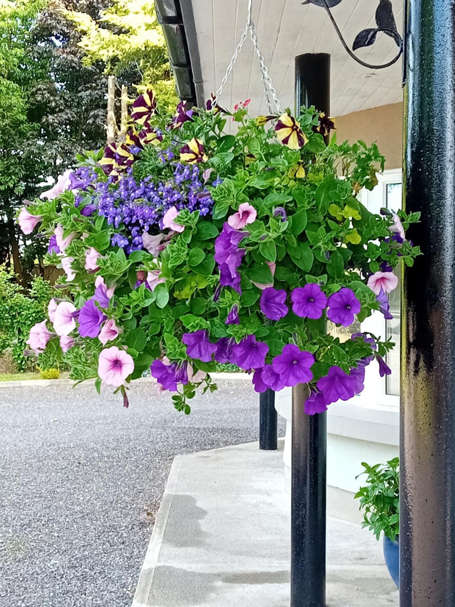 White Quarry Hse Quarry Road Pension Navan Buitenkant foto
