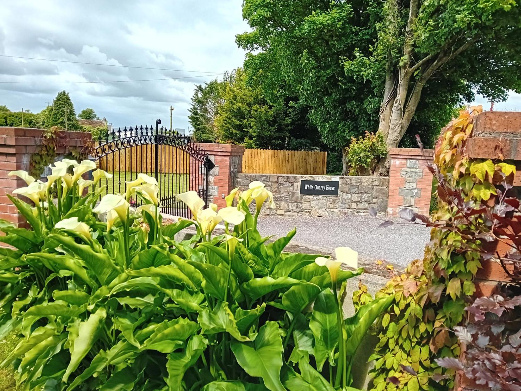 White Quarry Hse Quarry Road Pension Navan Buitenkant foto