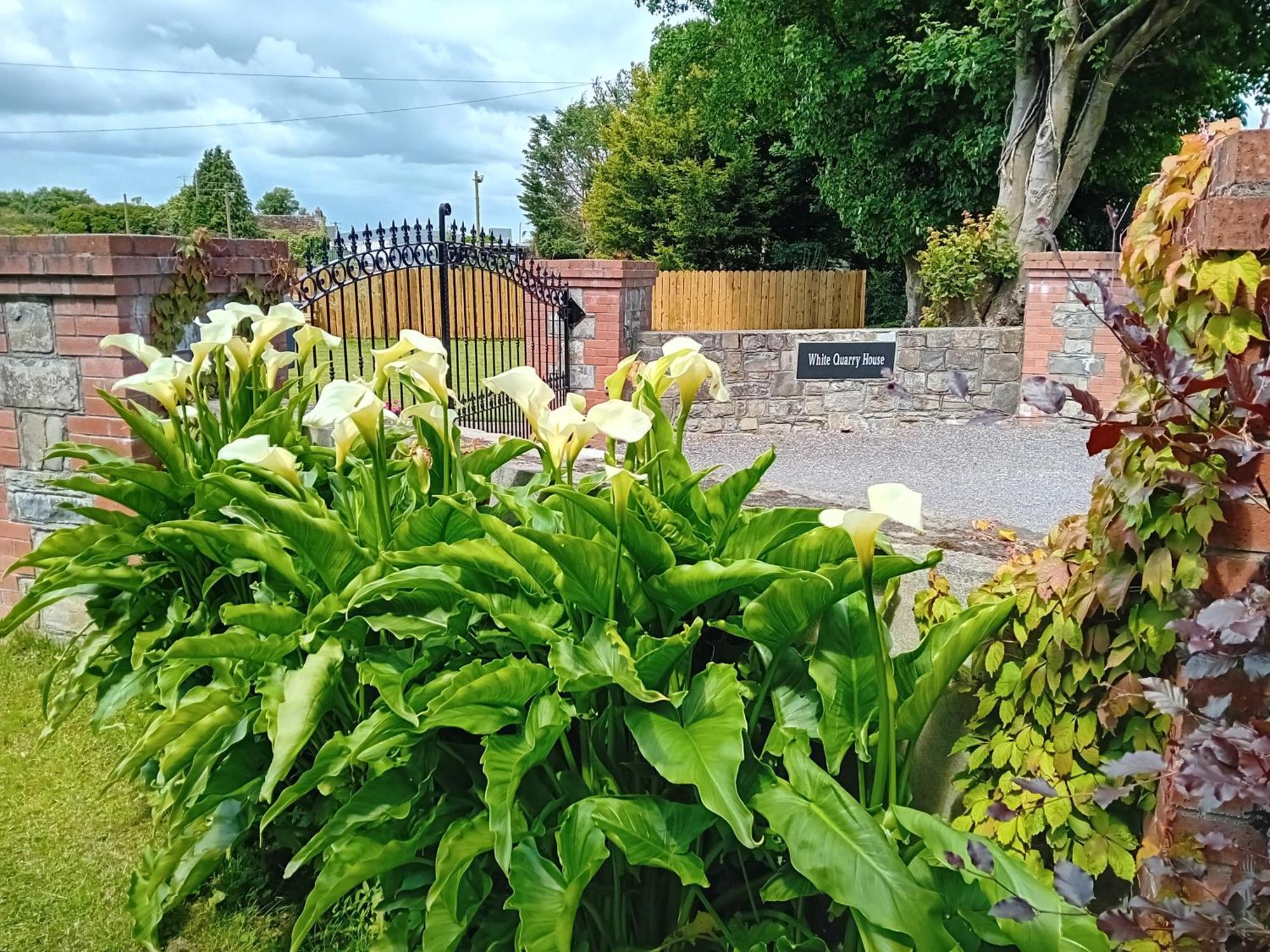 White Quarry Hse Quarry Road Pension Navan Buitenkant foto